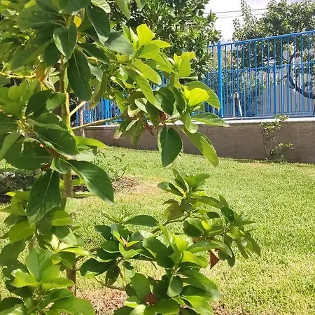 Aguilas Villa Malaga